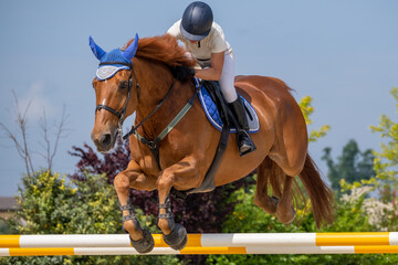 Show jumping competition on horseback. Horse Jumping, Equestrian Sports, Show Jumping themed photo.
