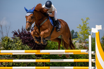 Show jumping competition on horseback. Horse Jumping, Equestrian Sports, Show Jumping themed photo.
