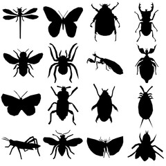  insect icon transparent png icon