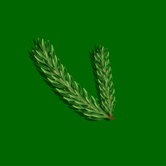 illustration of a green leaves of  tree, christmas tree