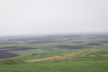 Naklejka premium Top view shot of the field covered with vibrant lush green grass on a picturesque, cloudy spring day, with mist on the horizon. Agrarian land in springtime
