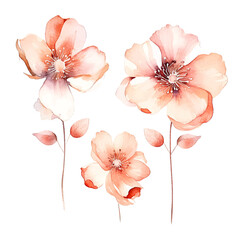 Fototapeta na wymiar set of rosegold floral watercolor, flower set, leaf and branch watercolor