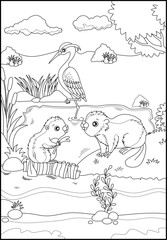 Wild life coloring page for kids