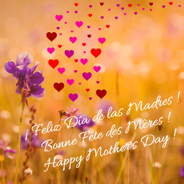 Square card for Mother's Day written in 3 languages ​​(french, english, spanish) with flowers in a field and many multicolored hearts