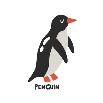Penguin. Hand drawn vector cartoon illustration for kids. Amusing Sea Animal