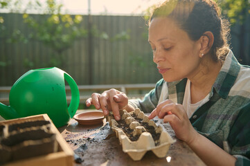 Female amateur farmer gardener sowing seeds into fertilized black soil in peat cassette ona warm...