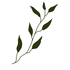 Flowers and leaves for decorating pictures, products, works, product billboards panne and many more