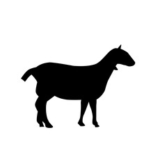 vector illustration of goat silhouettee