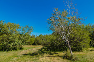 Fototapeta premium Robert Hunter Park East in Saskatoon, Saskatchewan