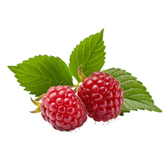 Ripe red raspberry with leaf isolated PNG transparent background generated by ai ,clipping path