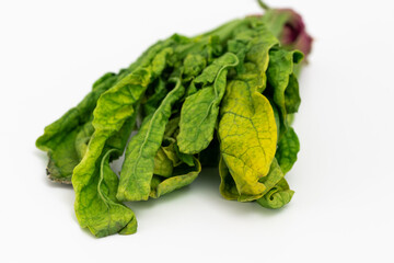 Verwelkte Salatblätter