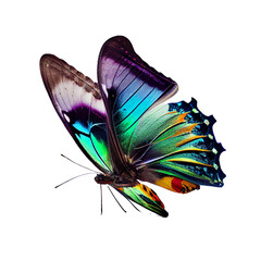 Colorful butterfly flying no shadow white background Ai generated image