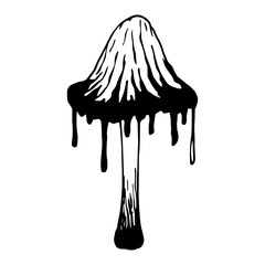 Sketch,doodle of the forest fungus toadstool.Vector graphics.