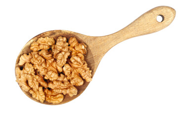 Walnut kernels in wooden spoon, pile isolated on white, top view