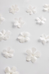 Fototapeta na wymiar white flowers on a white pattern background, design for greeting card