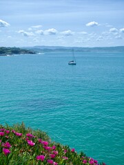 landscape with flowers overlooking the ocean