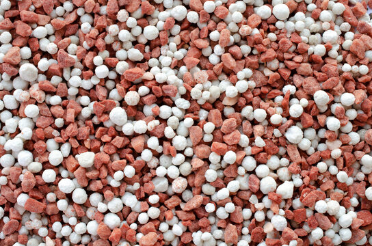 Potassium chloride and superphosphate - close-up of red and white colored mineral fertilizer, top view. Red and white background of potassium chloride and superphosphate fertilizer, top view.