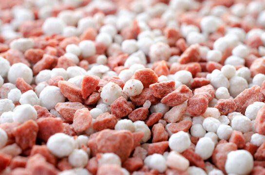 Potassium chloride and superphosphate - close-up of red and white colored mineral fertilizer, top view. Red and white background of potassium chloride and superphosphate fertilizer, top view.