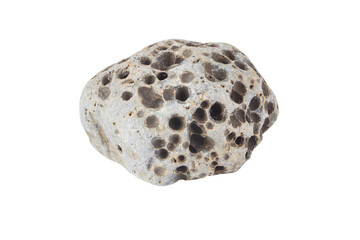 Grey porous natural stone with holes isolated transparent png. Volcanic rocks pebble.