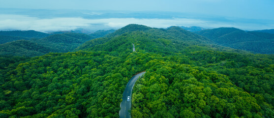 Aerial view of a car on deep jungle road