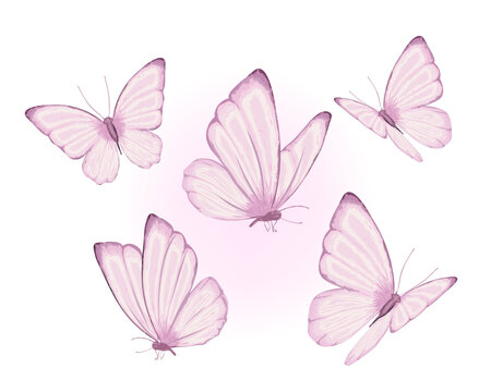 butterflies and fpink watercolor