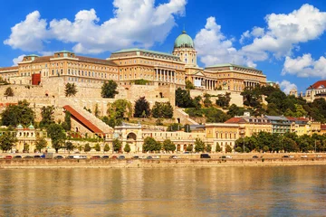 Zelfklevend Fotobehang City summer landscape - view of the Buda Castle, palace complex of the Hungarian Kings on Castle Hill over the Danube river in Budapest, Hungary © rustamank