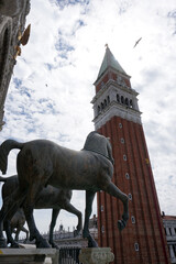 Piazza San Marco, basilica e campanile, Venezia