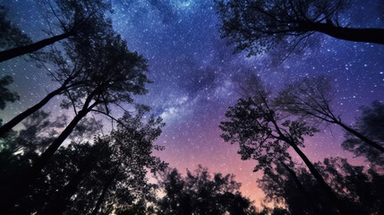 Obraz na płótnie Canvas Image of the mesmerizing starry sky