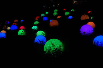 Incanto di luci 2023, Orto botanico di Roma