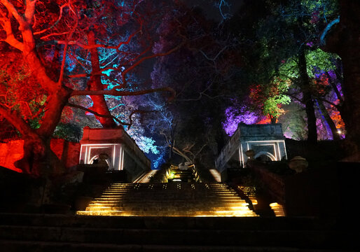 Incanto di luci 2023, Orto botanico di Roma