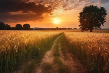 Rural landscape with wheat field on sunset, Generative ai