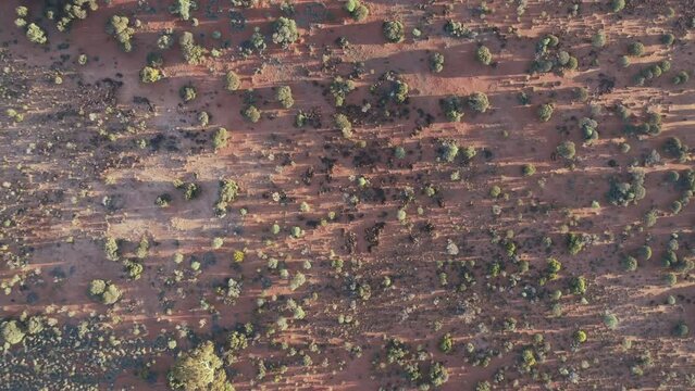 Australian outback Kalgoorlie goldfields region red dirt