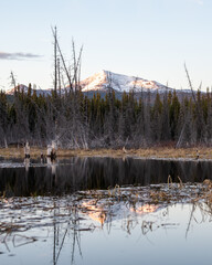 Spring time views in northern Canada with snow capped mountain in distant background along the Alaska Highway with pond, water, springtime landscape. 
