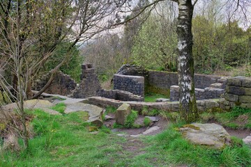 stone pathway in the park