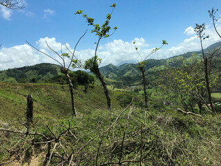 green landscape with mountains, Guanacaste, Costa Rica