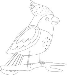 Cartoon bird animal vector graphic