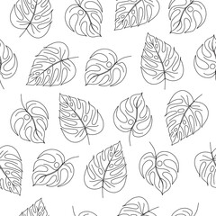 Black and White Monstera tropical leaf Pattern. Vector