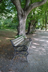 Wanderweg mit Bank im Sommer