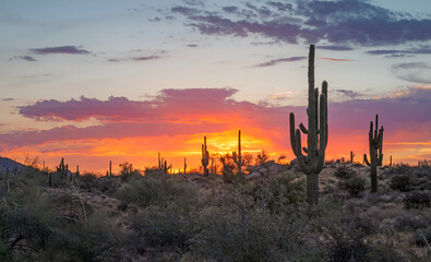 Sunrise Skies In The Sonoran Desert In Scottsdale Arizona