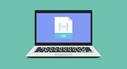 file format icon with CSS label on laptop screen, vector flat illustration