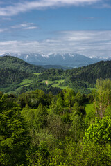 Fototapeta na wymiar Pieniny National Park in Carpathian Mountains in Poland at summer day