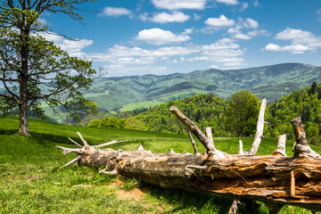 Pieniny National Park in Carpathian Mountains in Poland at summer day