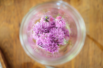 Chive Blossoms in a Jar