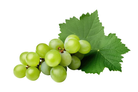 Green grape with leaves on transparent background. Generative AI.