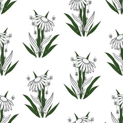 Fototapeta na wymiar Delicate seamless pattern with outline and color sketch daisy flower and grass bouquets. Cute hand drawn botanical texture for textile and surface design, wrapping paper, background, wallpaper