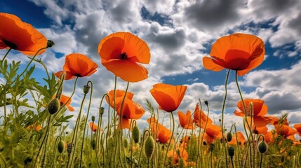 Poppy field against the blue sky. Generative AI