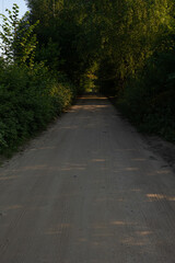 Beautiful rural road in the countryside, day landscape