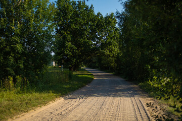 Beautiful rural road in the countryside, day landscape