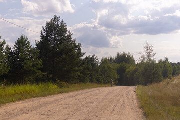 Fototapeta premium Beautiful rural road in the countryside, day landscape