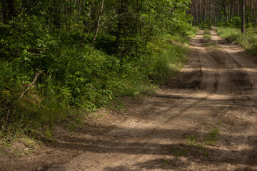 Obraz premium Beautiful rural road in the countryside, day landscape